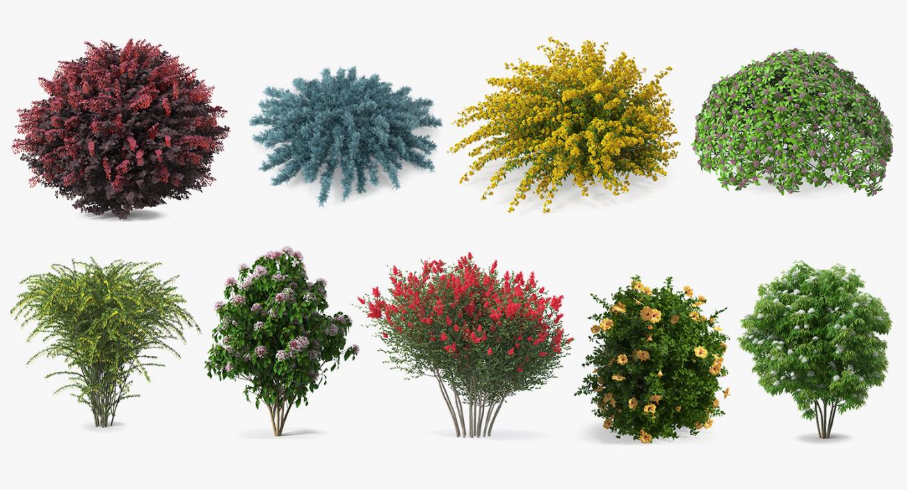 Bushes Collection 8 3D model