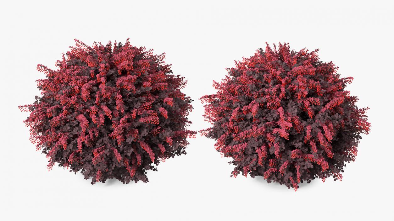 Bushes Collection 8 3D model