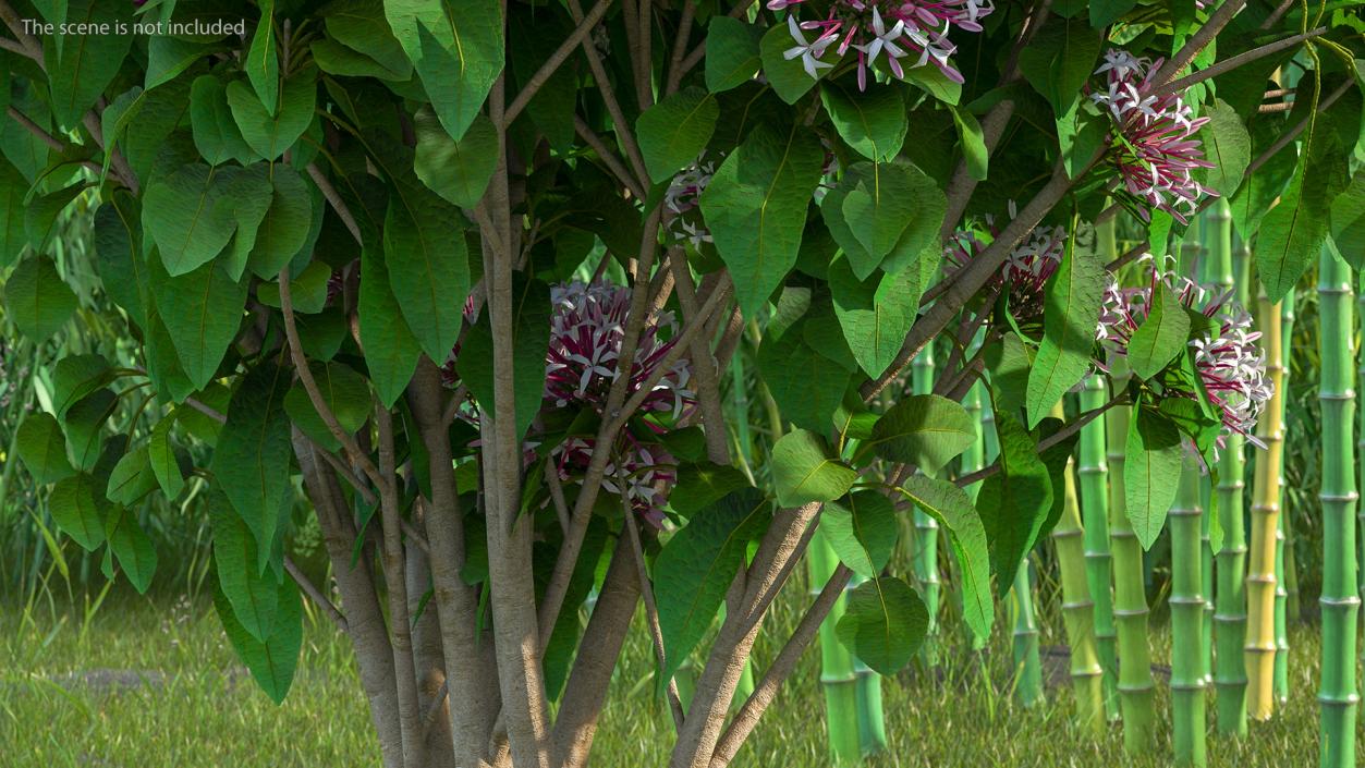 Bushes Collection 8 3D model