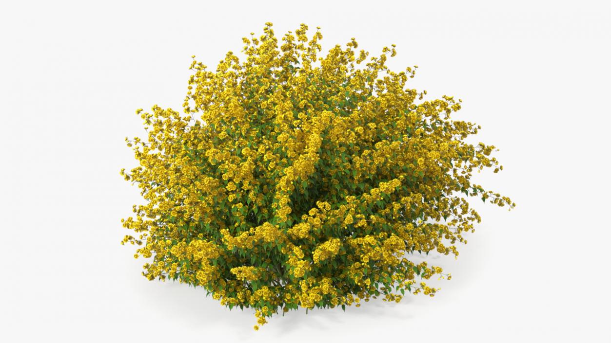 Bushes Collection 8 3D model