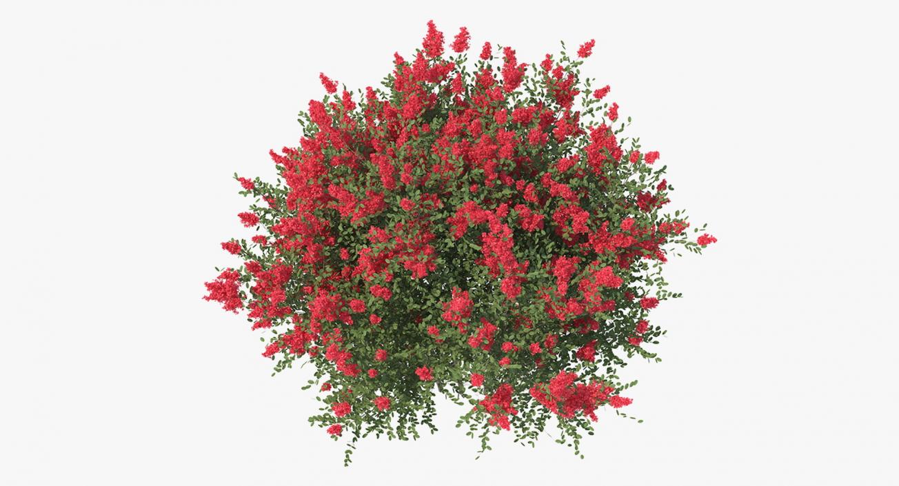 Bushes Collection 8 3D model