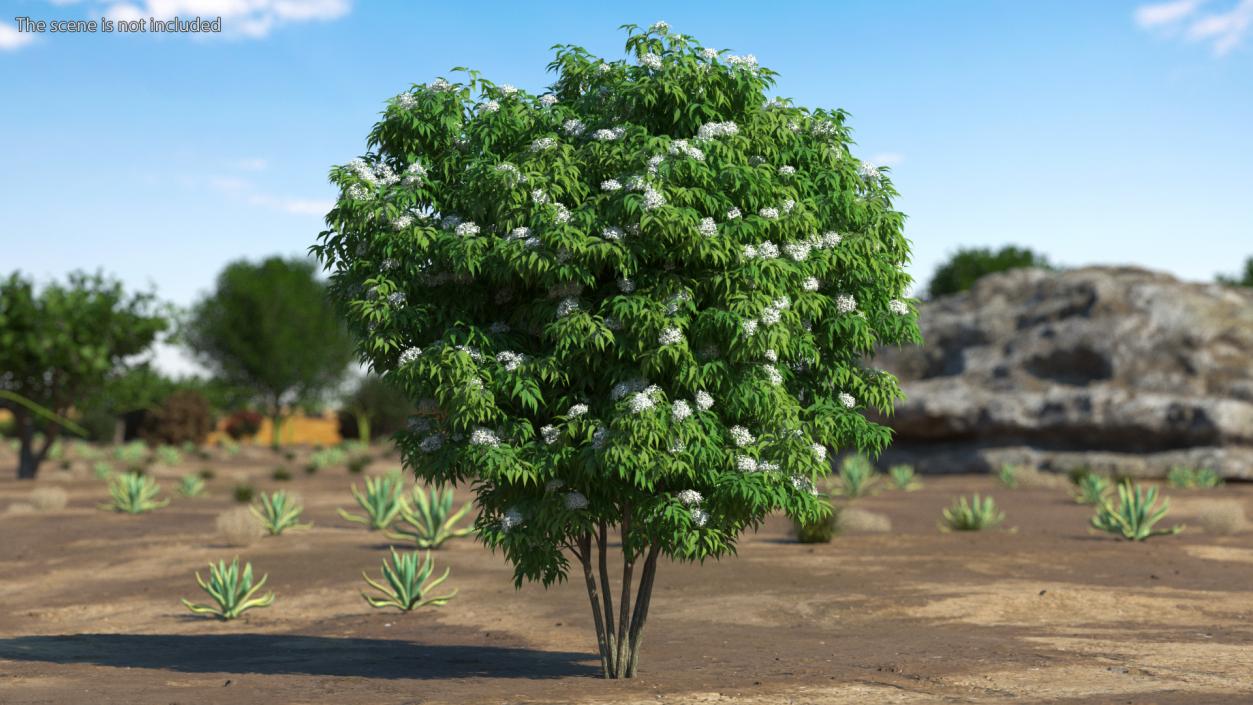 Bushes Collection 8 3D model