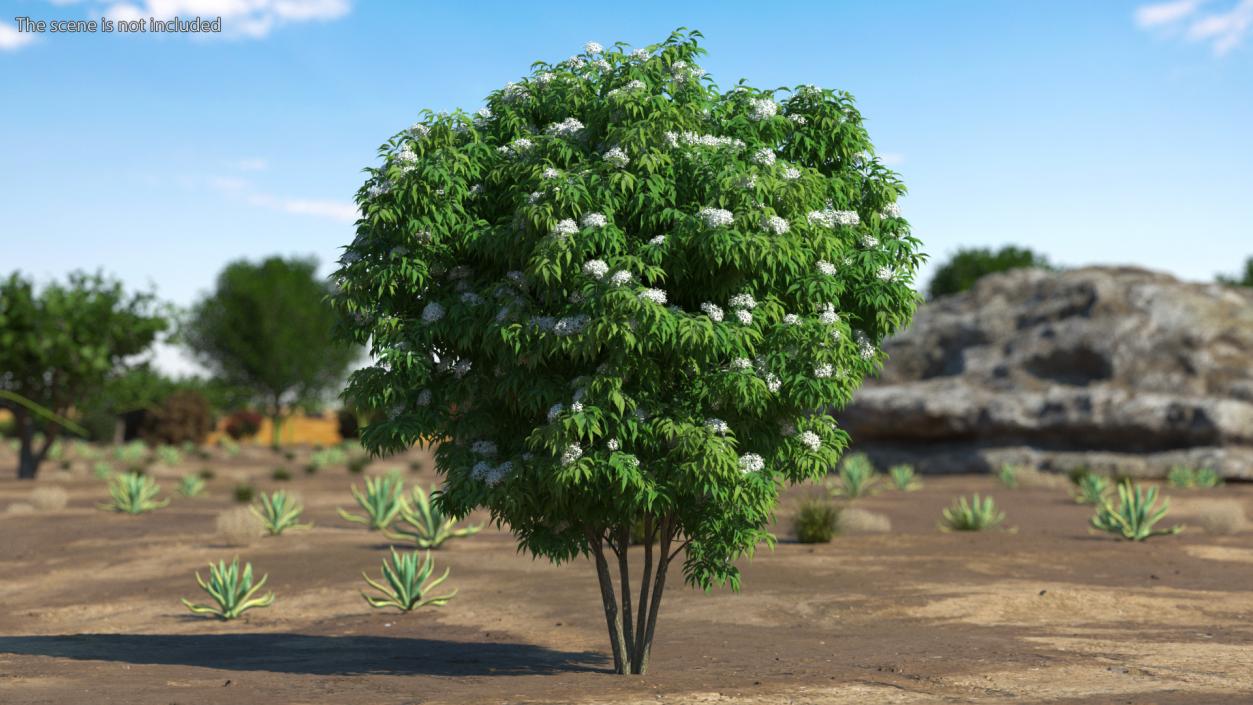 Bushes Collection 8 3D model