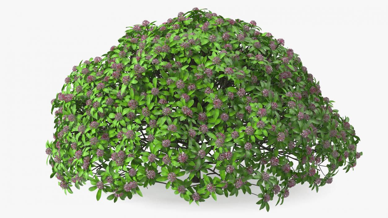 Bushes Collection 8 3D model