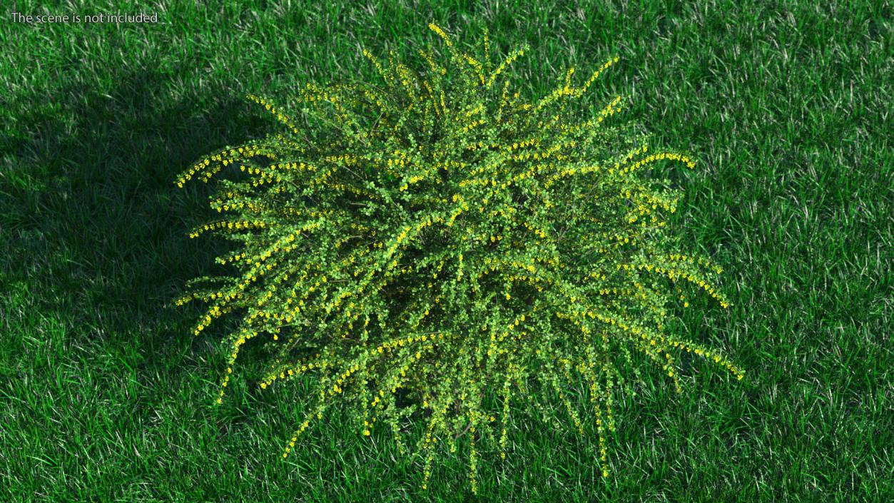 Bushes Collection 8 3D model