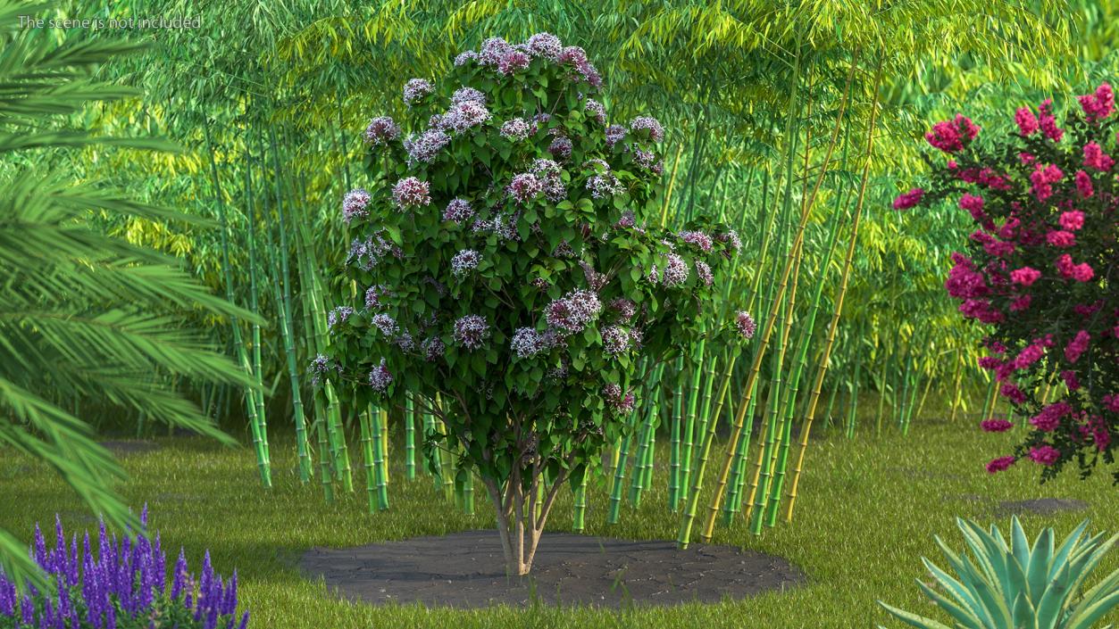 Bushes Collection 8 3D model