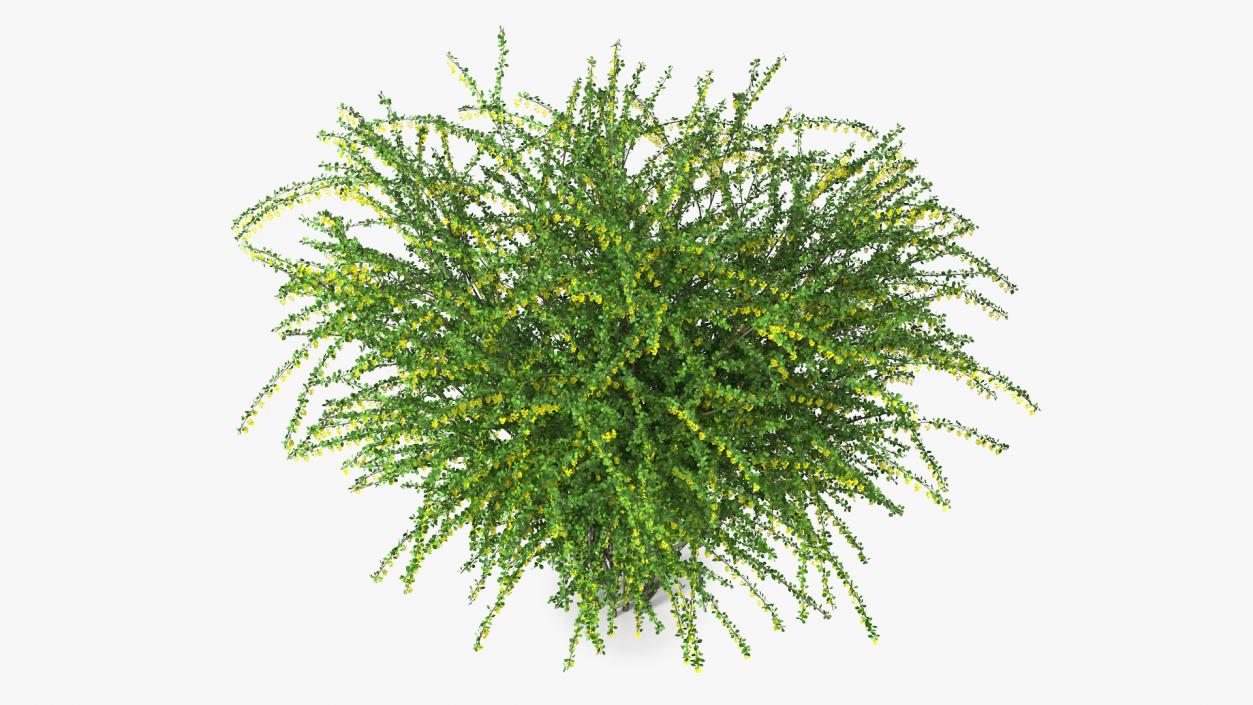 Bushes Collection 8 3D model