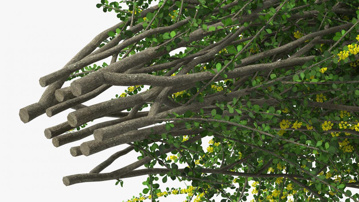 Bushes Collection 8 3D model