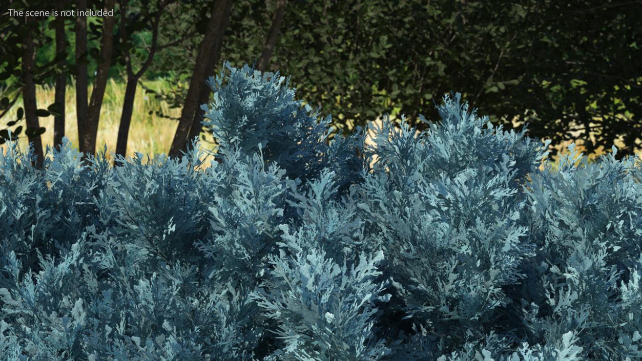 Bushes Collection 8 3D model