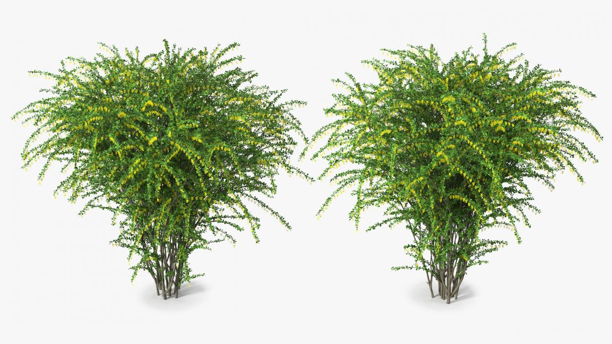 Bushes Collection 8 3D model