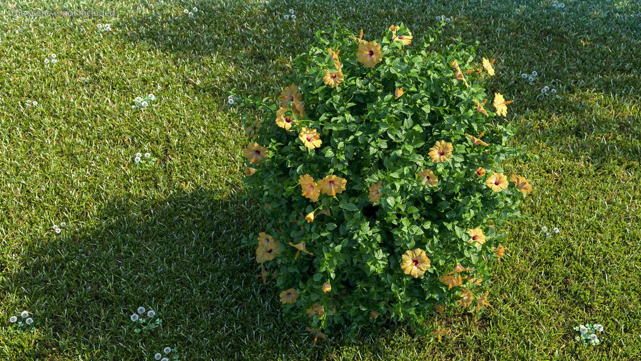 Bushes Collection 8 3D model