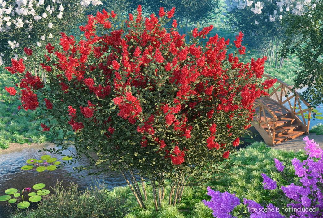 Bushes Collection 8 3D model