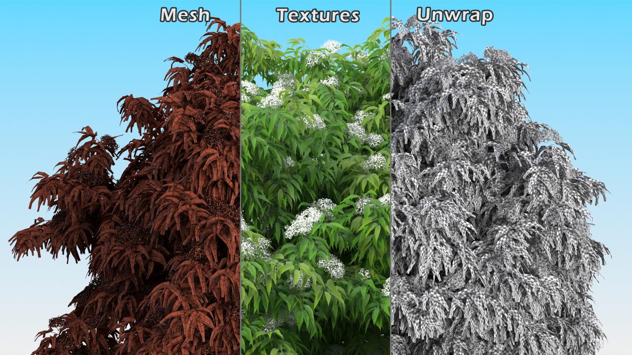 Bushes Collection 8 3D model