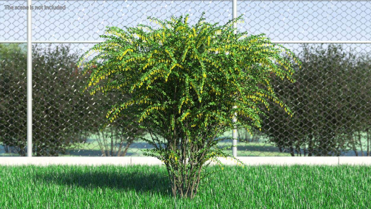 Bushes Collection 8 3D model