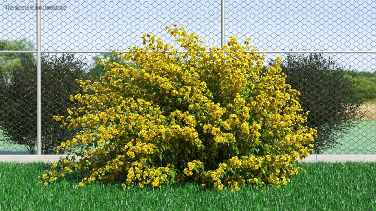 Bushes Collection 8 3D model