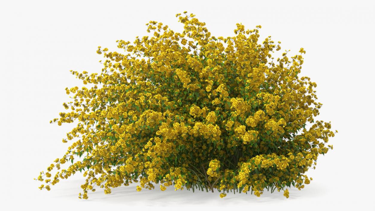 Bushes Collection 8 3D model