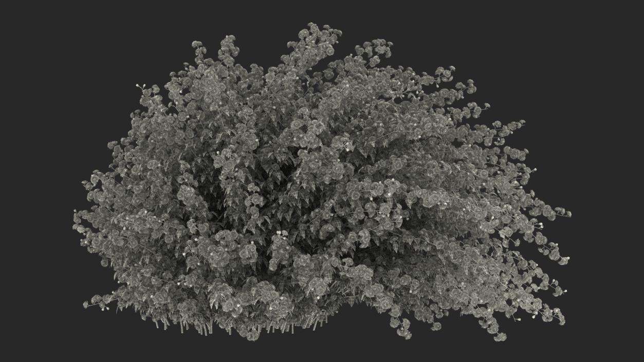 Bushes Collection 8 3D model