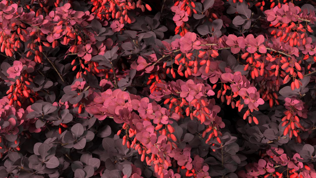 Bushes Collection 8 3D model