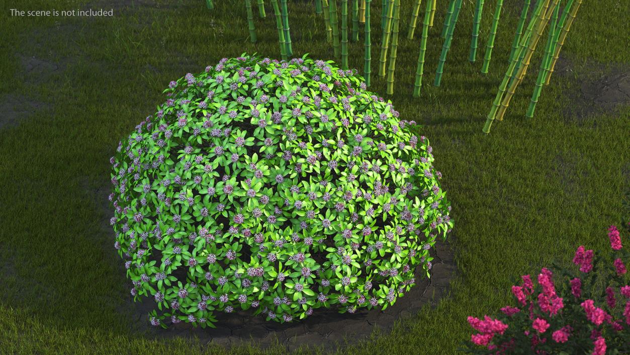 Bushes Collection 8 3D model