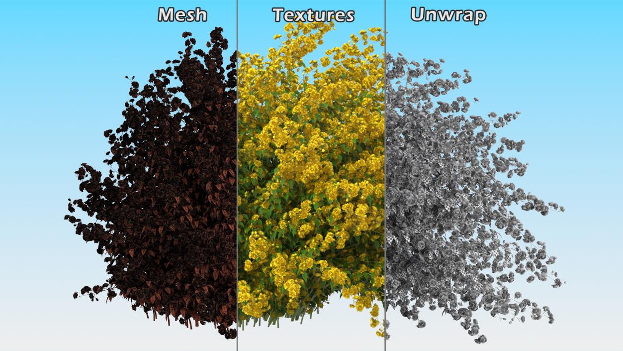 Bushes Collection 8 3D model