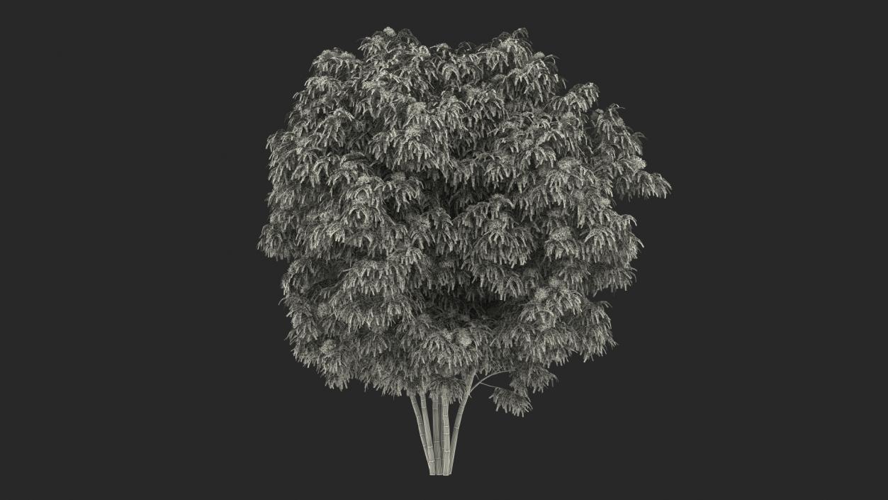 Bushes Collection 8 3D model