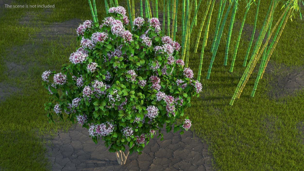 Bushes Collection 8 3D model