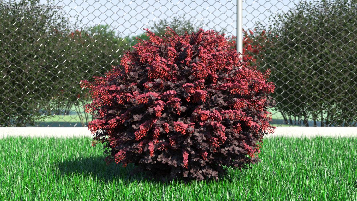 Bushes Collection 8 3D model