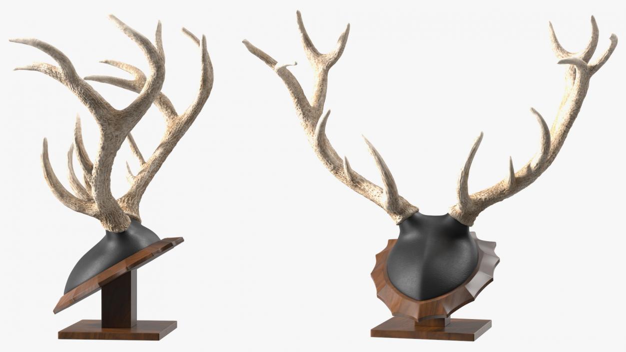 3D model Showcase with Trophies Brown Illuminated