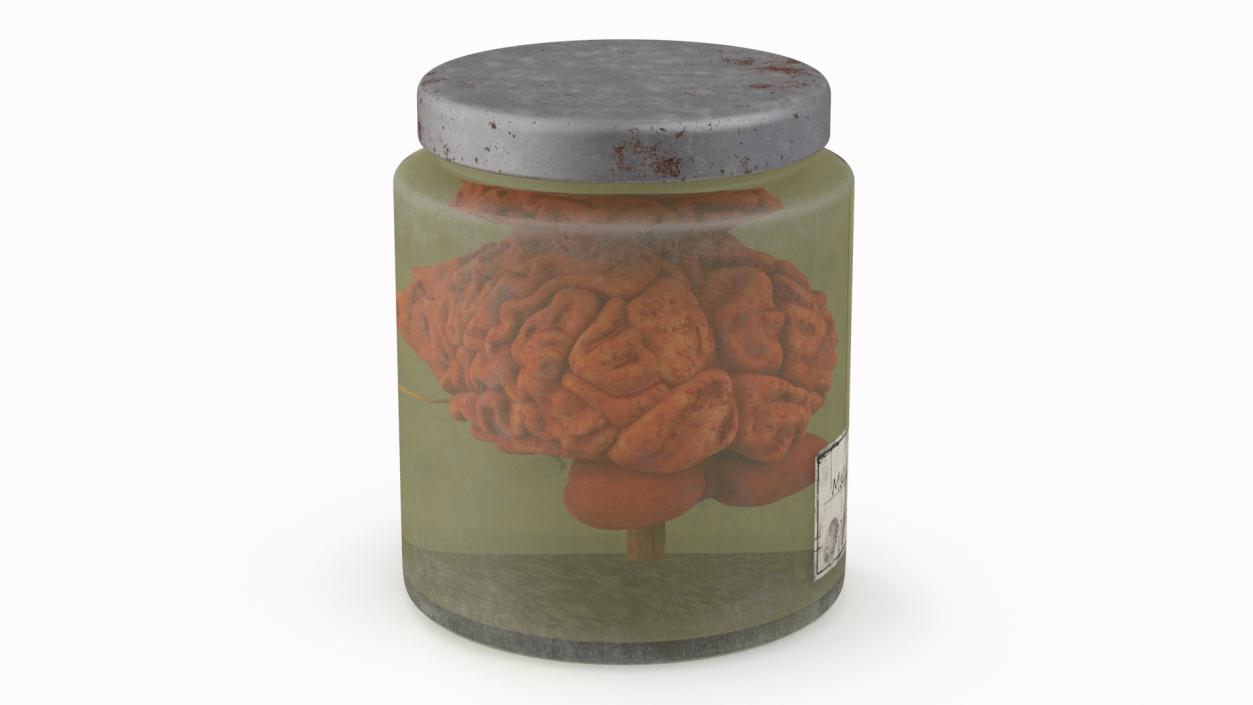 3D model Human Brain in Old Glass Jar 2