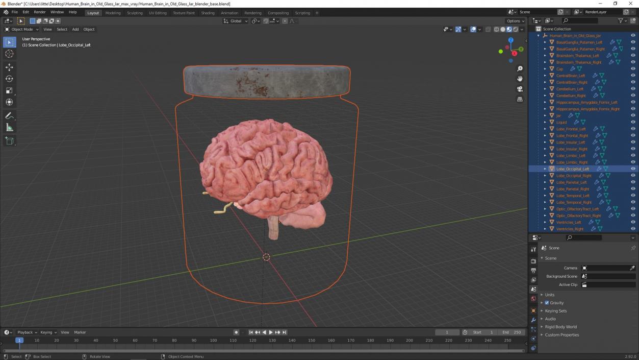 3D model Human Brain in Old Glass Jar 2