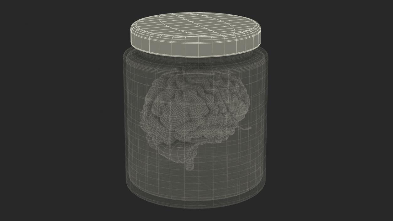 3D model Human Brain in Old Glass Jar 2