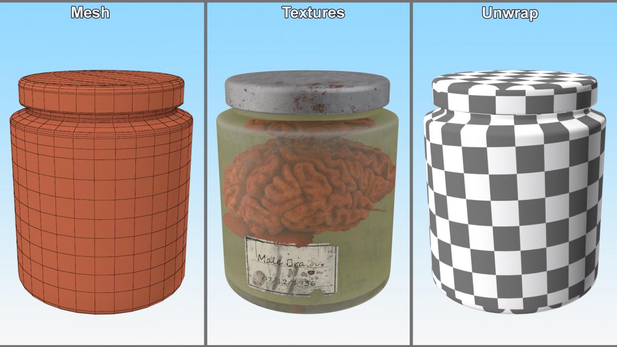 3D model Human Brain in Old Glass Jar 2