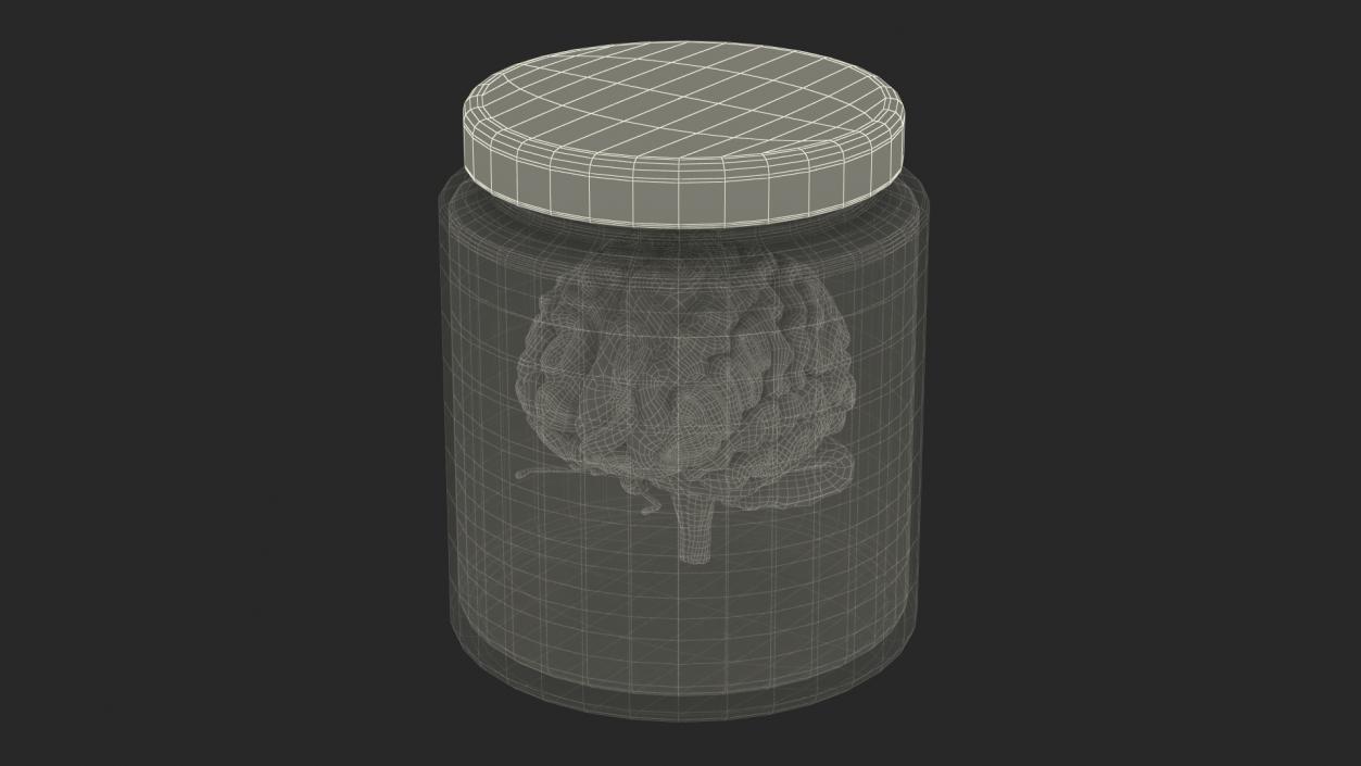 3D model Human Brain in Old Glass Jar 2