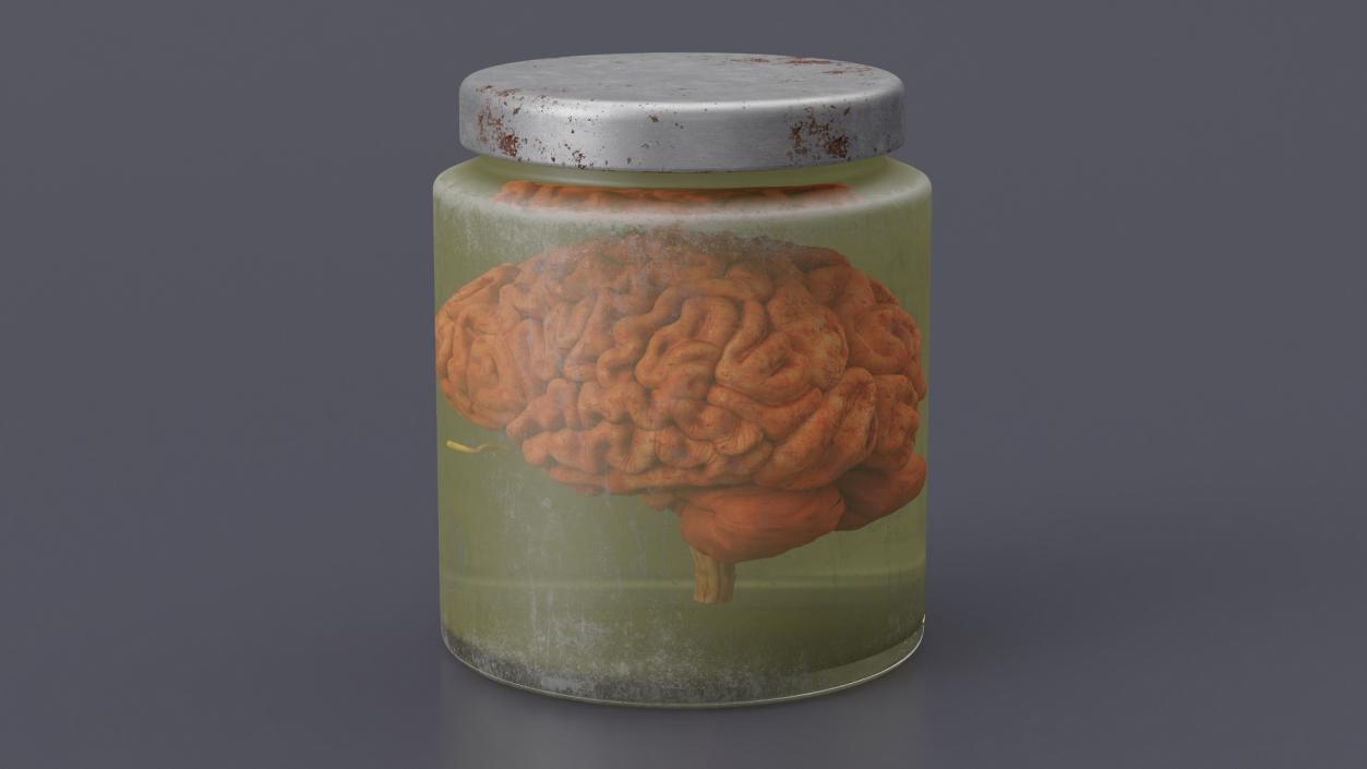 3D model Human Brain in Old Glass Jar 2