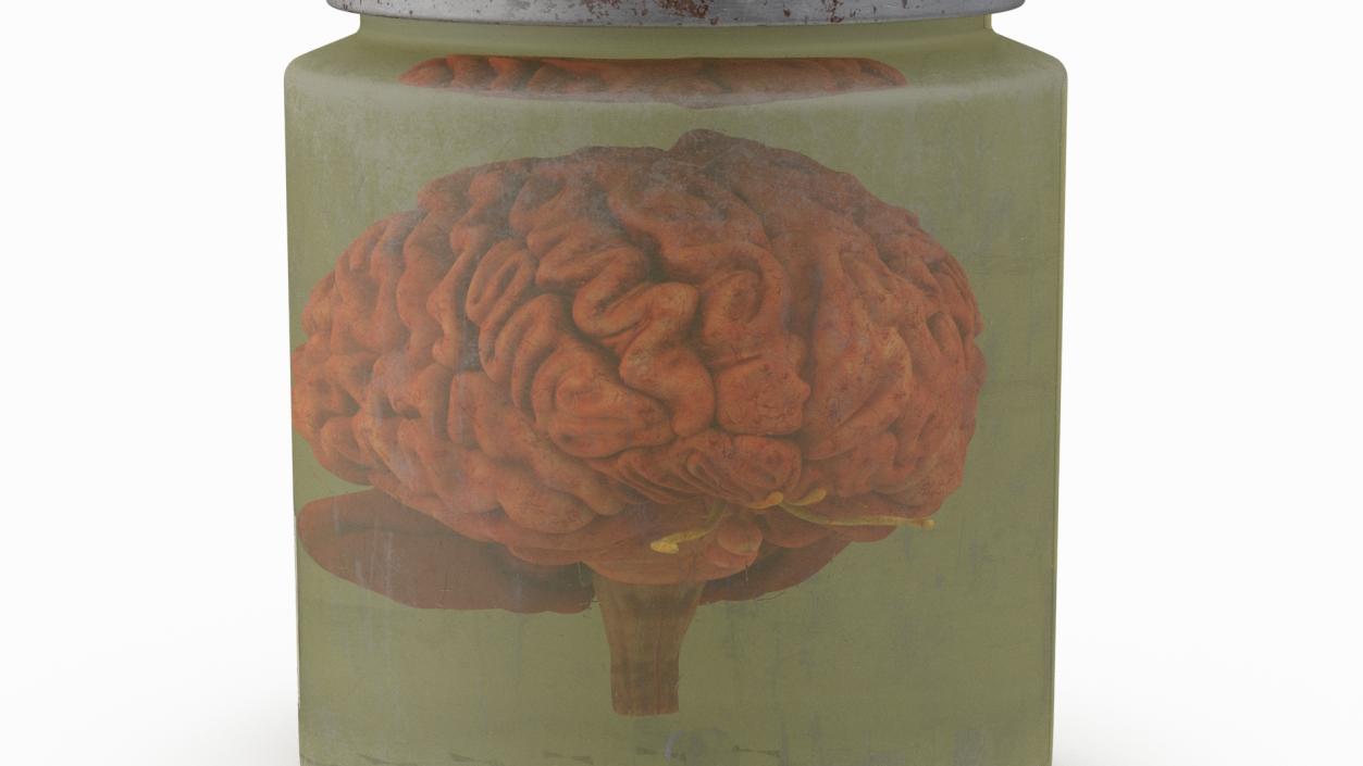 3D model Human Brain in Old Glass Jar 2