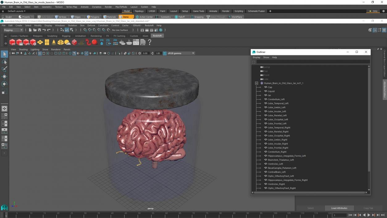 3D model Human Brain in Old Glass Jar 2