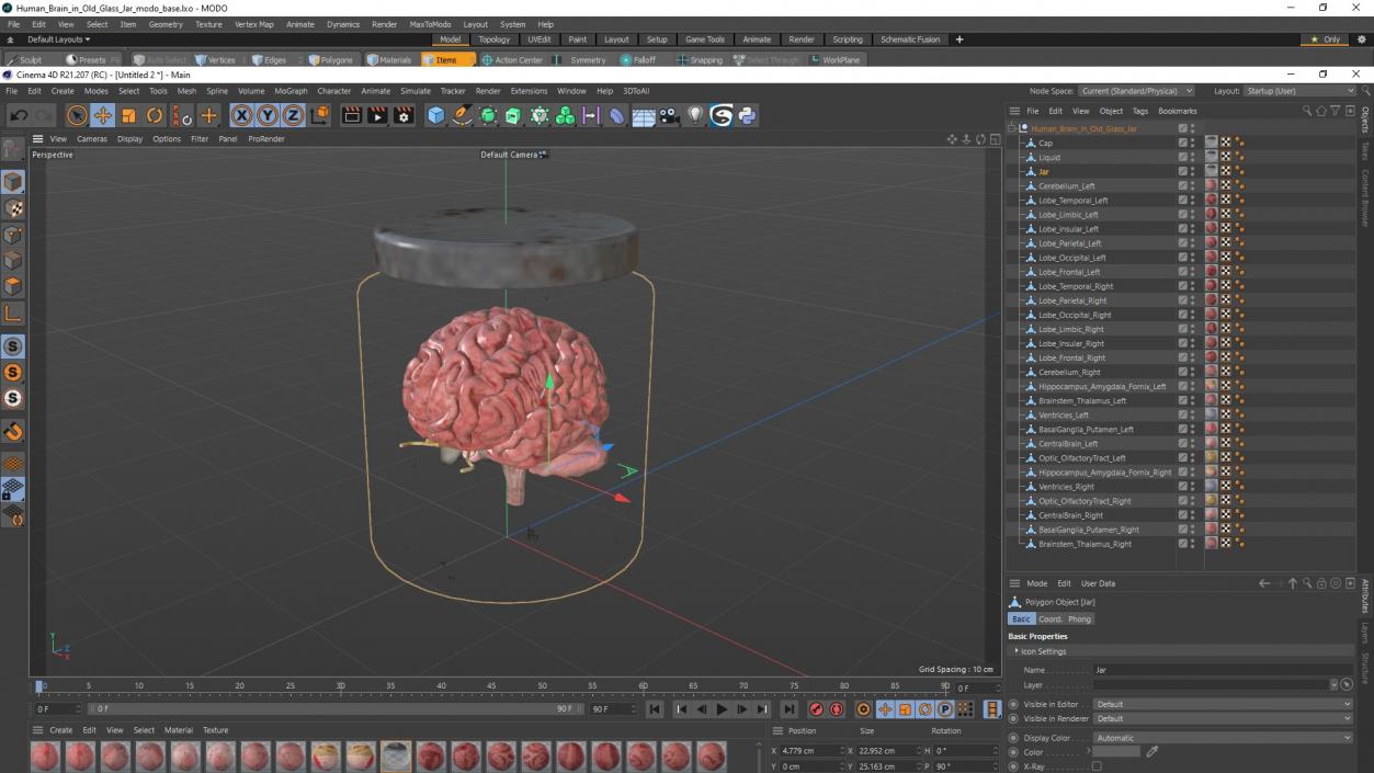 3D model Human Brain in Old Glass Jar 2