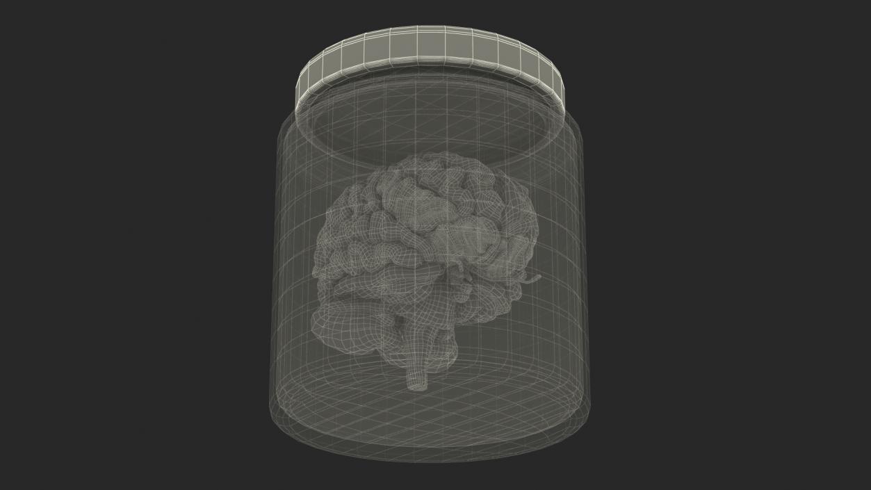 3D model Human Brain in Old Glass Jar 2