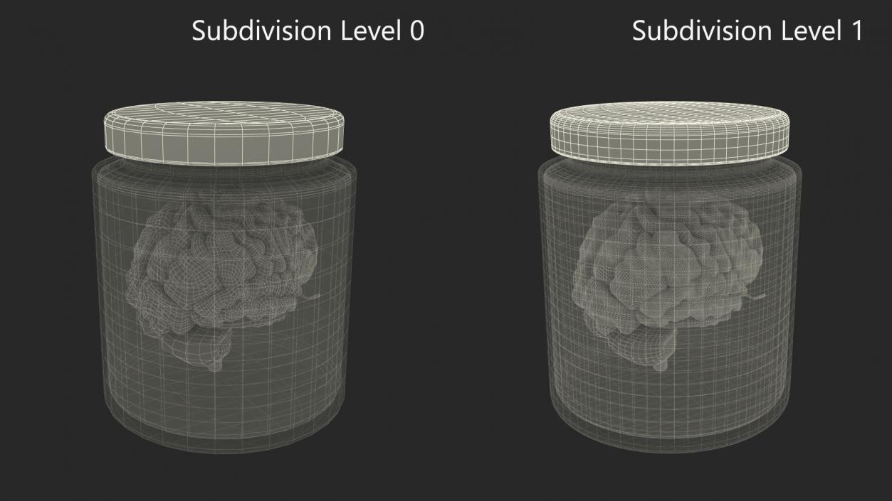 3D model Human Brain in Old Glass Jar 2