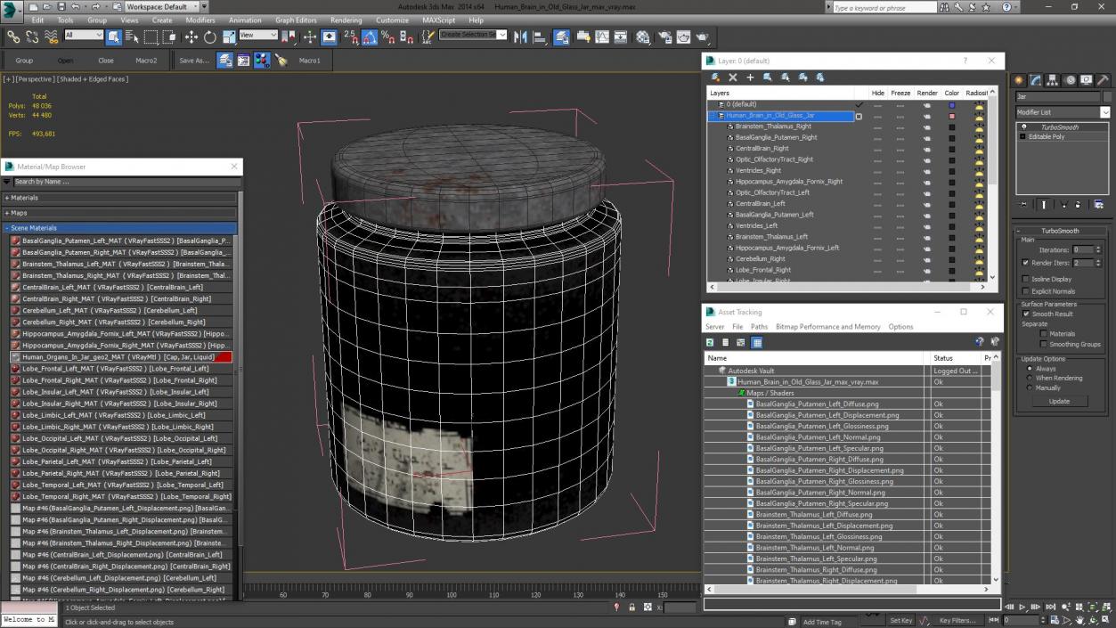 3D model Human Brain in Old Glass Jar 2