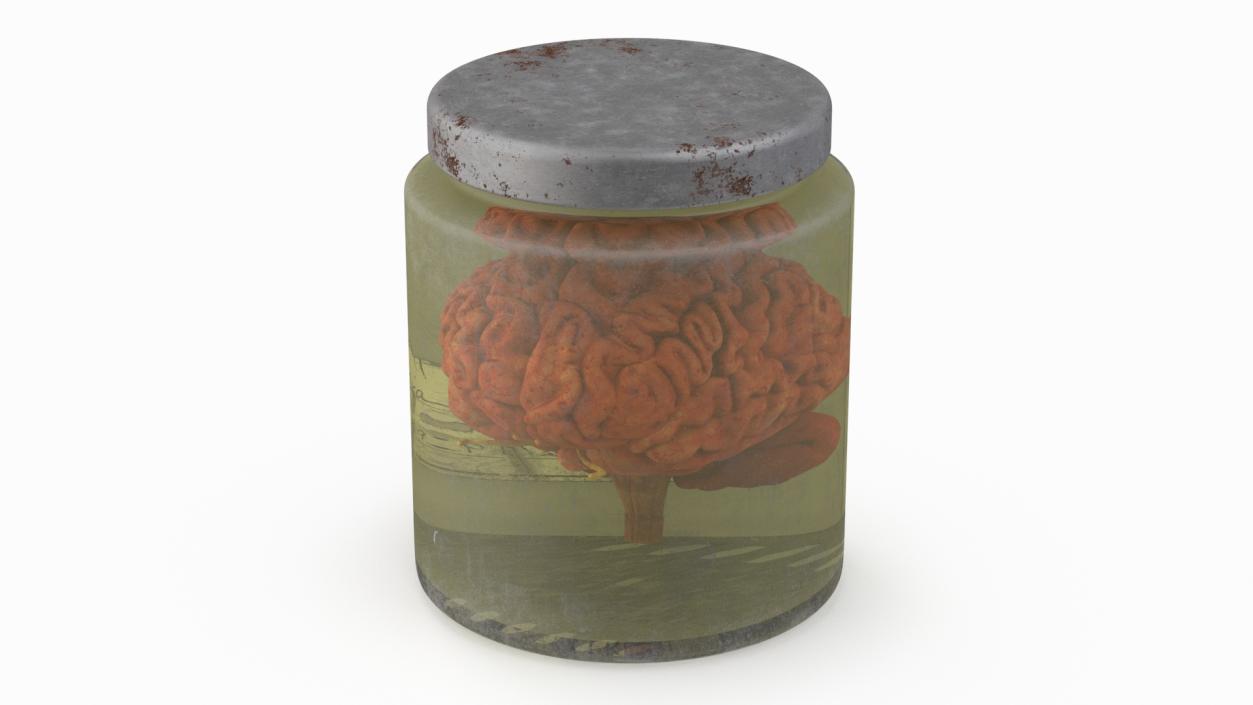 3D model Human Brain in Old Glass Jar 2