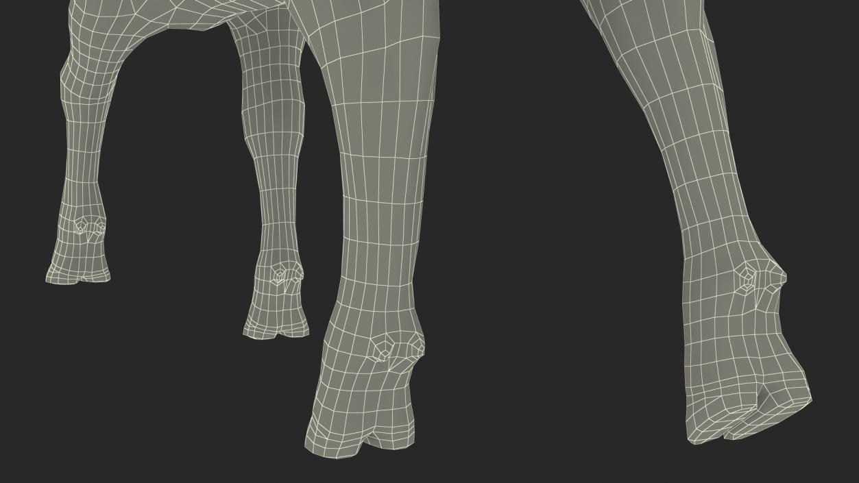 3D model Cow Calf in Walking Pose Fur 2