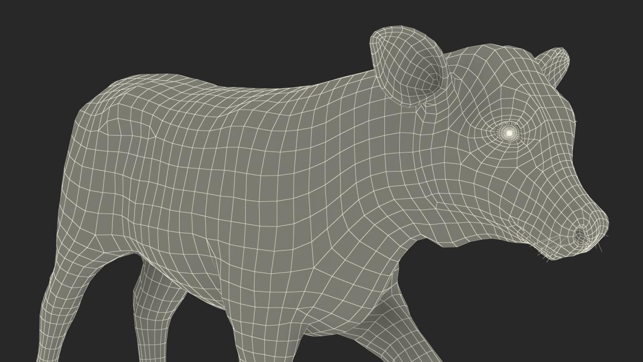 3D model Cow Calf in Walking Pose Fur 2