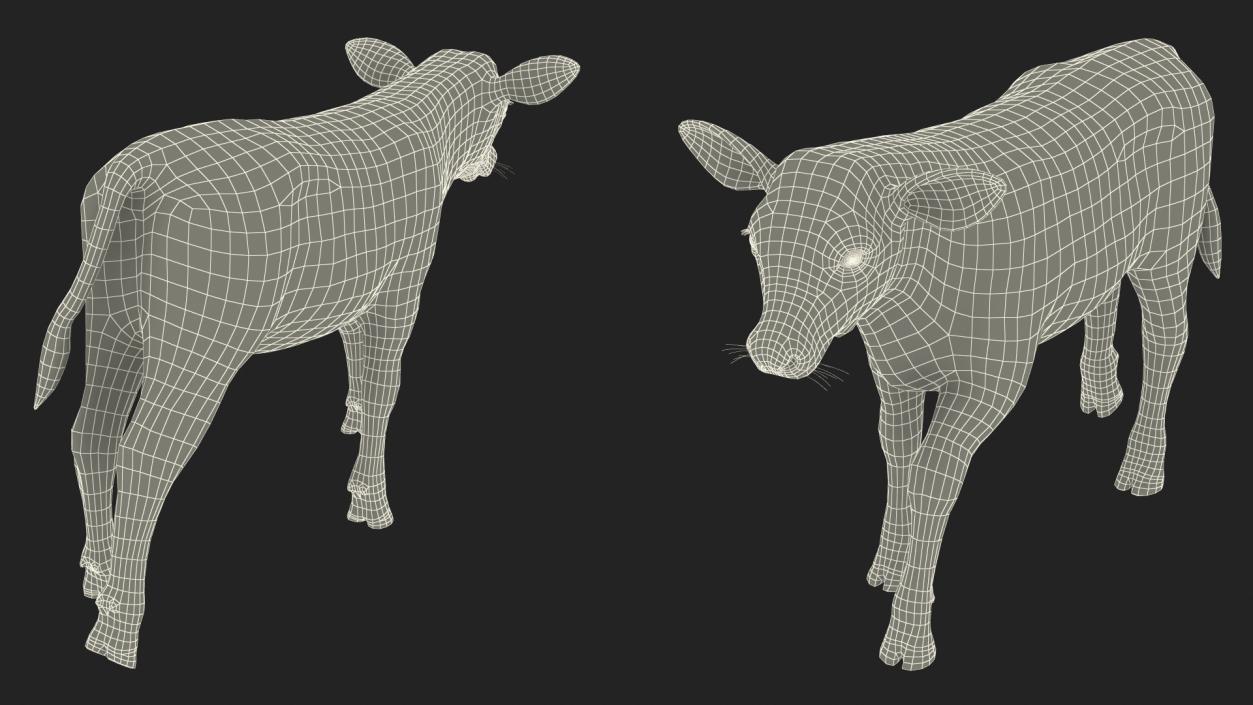 3D model Cow Calf in Walking Pose Fur 2