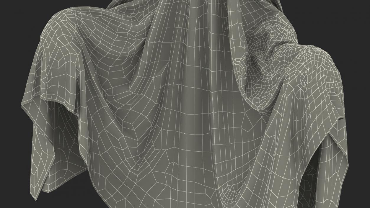 Evil Ghost Bedsheet 3D model