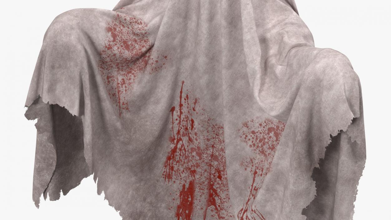 Evil Ghost Bedsheet 3D model