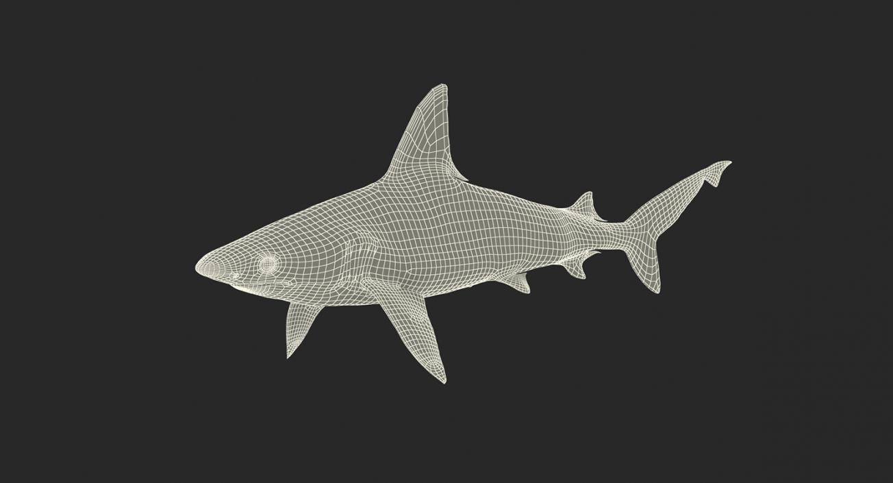 3D model Sharks Collection 11