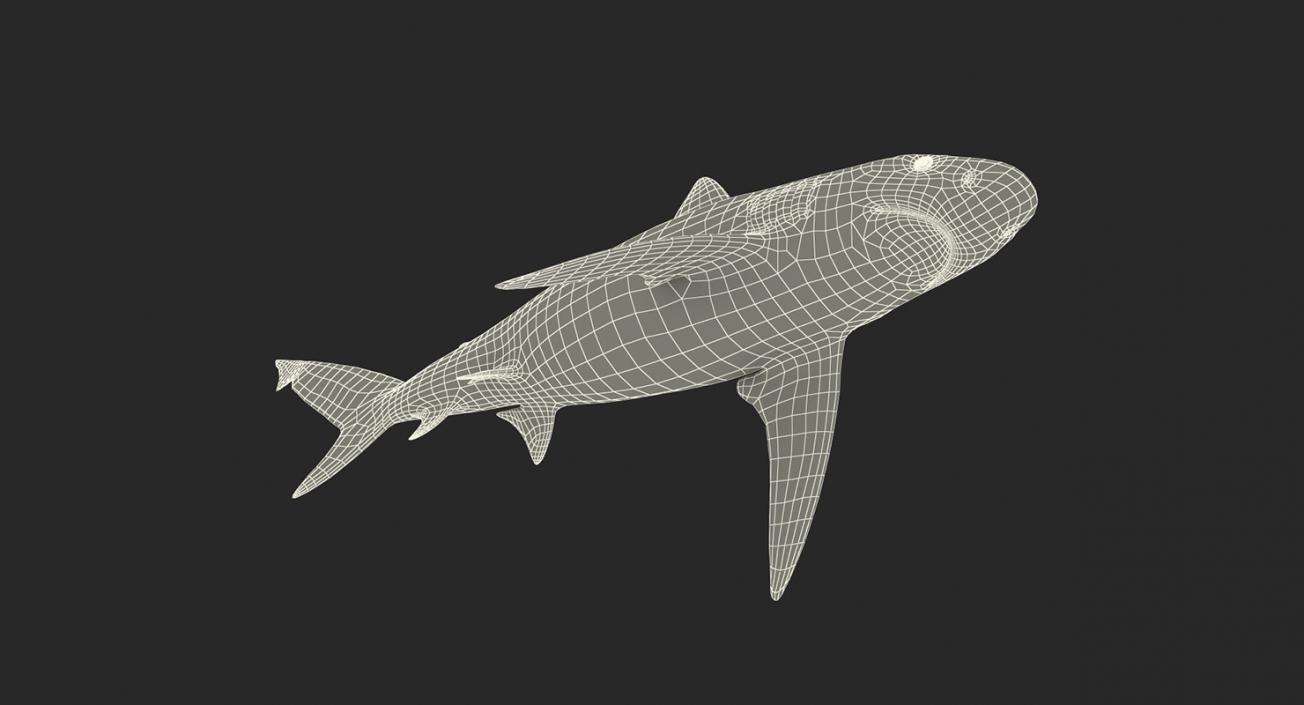 3D model Sharks Collection 11