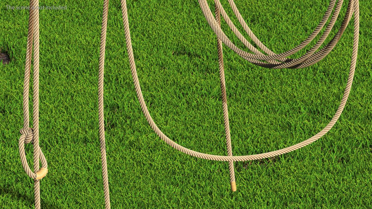 Natural Western Lasso Rope Catching Position 3D model