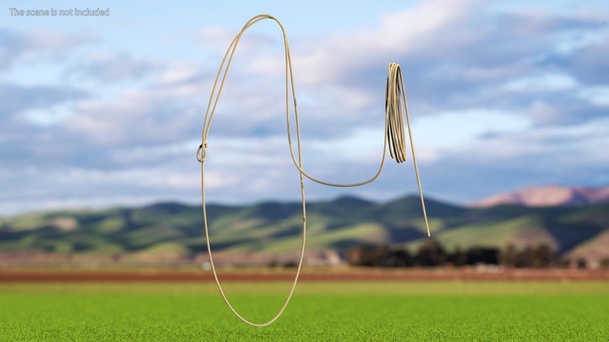 Natural Western Lasso Rope Catching Position 3D model